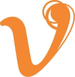 Vinzenz Gruppe